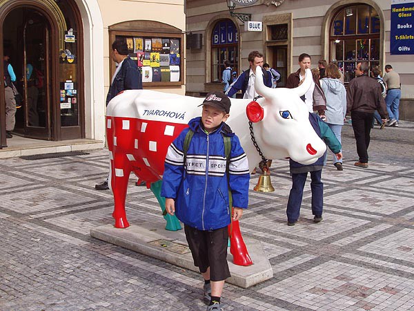 Praha, krvy ve mst 2004