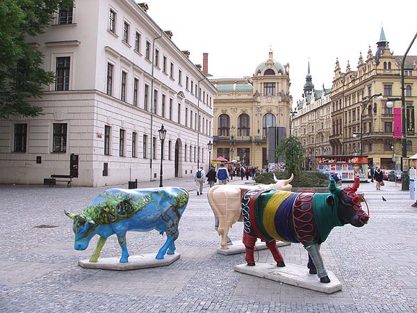 Praha, krvy ve mst 2004