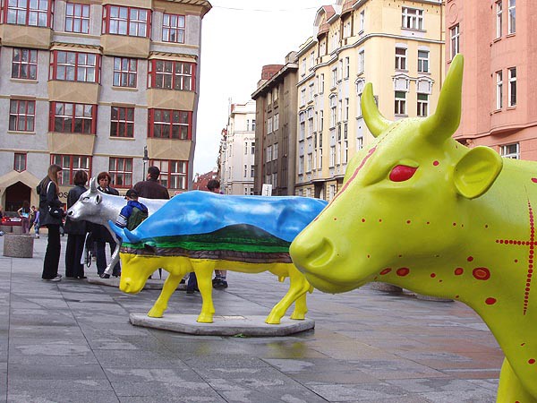Praha, krvy ve mst 2004