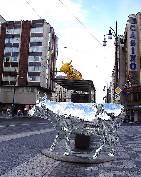 Praha, krvy ve mst 2004