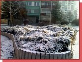 Praha, Zahradn Msto, Jetelov ulice 