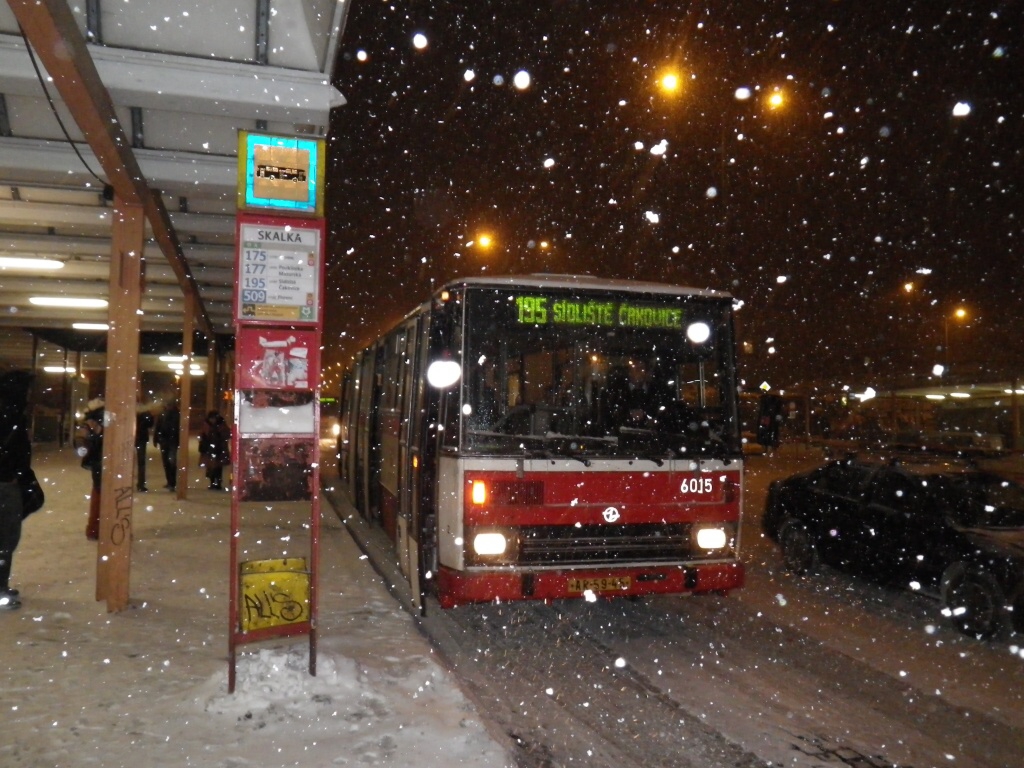 Zasnen Praha 1.12.2010 - Horydoly.cz 