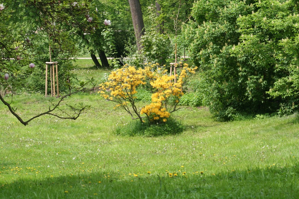 Praha, jarn Stromovka - Horydoly.cz 