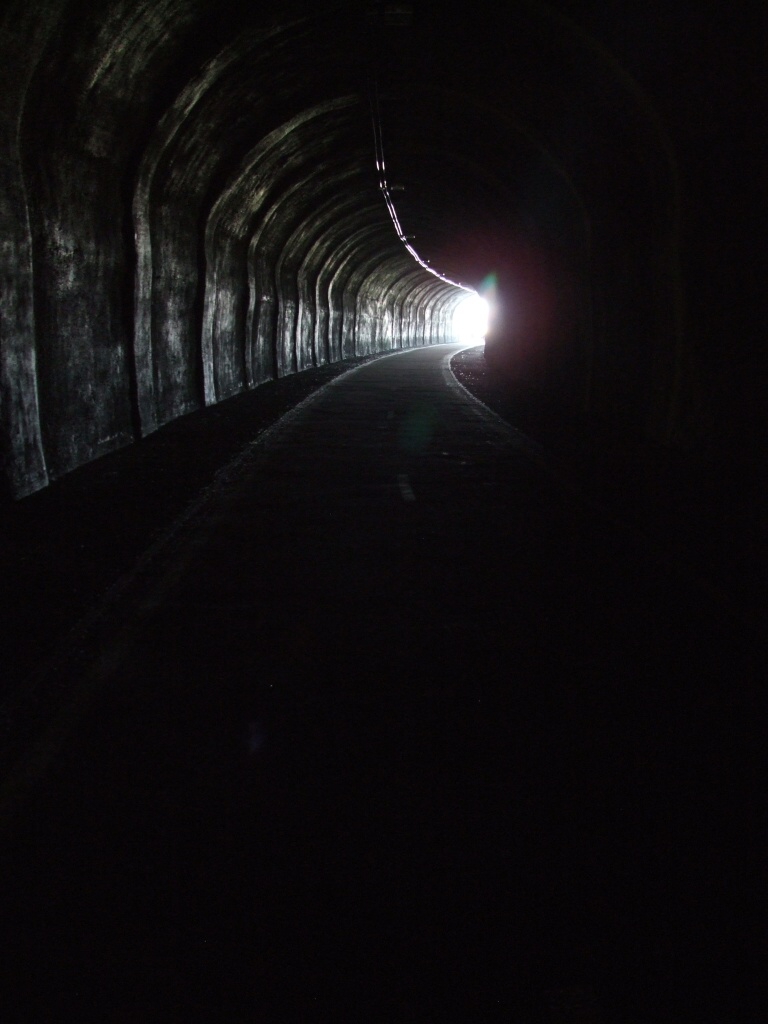 Praha, �i�kov, V�tkov 2010 - Horydoly.cz 