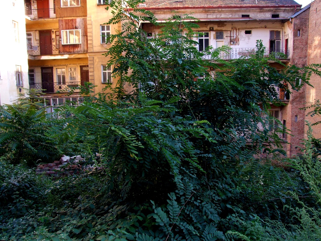 Praha, �i�kov, V�tkov 2010 - Horydoly.cz 