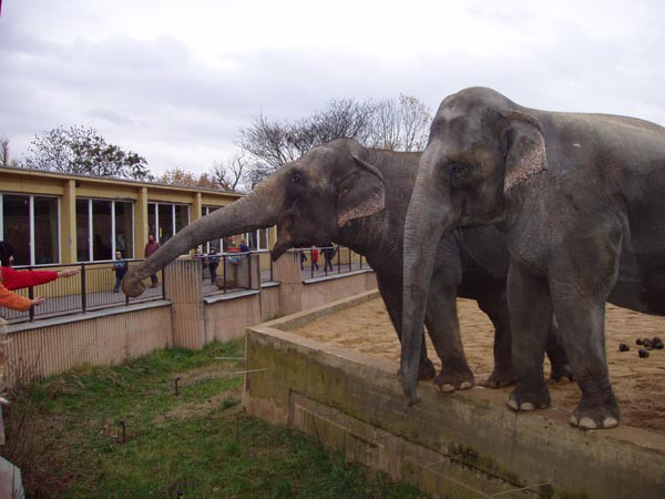 Praha, zoologick zahrada