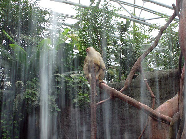 Praha, zoologick zahrada