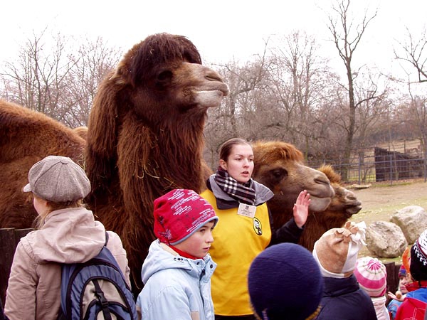 ZOO Praha v zim