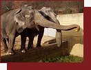 ZOO Praha. Dobrou chu!