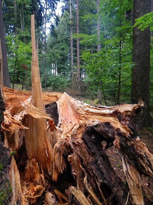 K pramenm Radbuzy - Horydoly.cz 