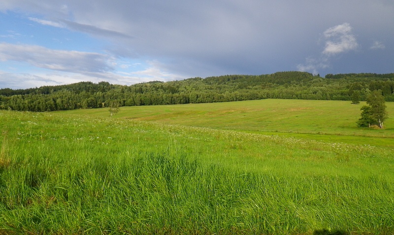 K pramenm Radbuzy - Horydoly.cz 