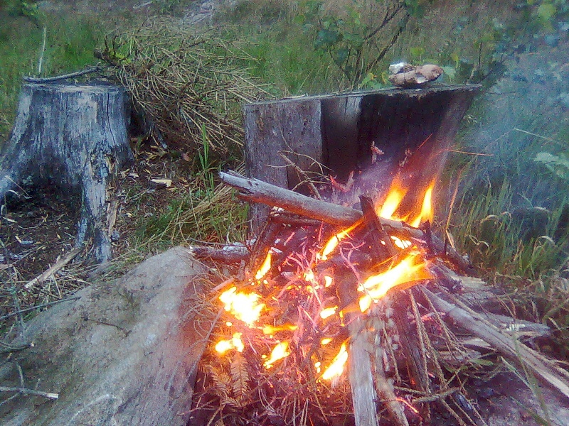 K pramenm Radbuzy - Horydoly.cz 