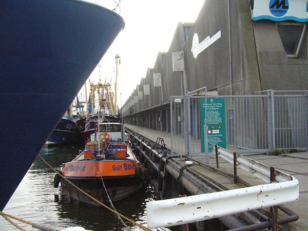 Holandsko, Rotterdam a Haag, Scheveningen