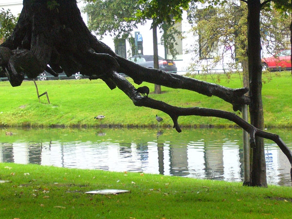 Holandsko, Rotterdam a Haag, Scheveningen