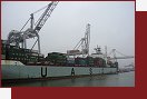 Rotterdam