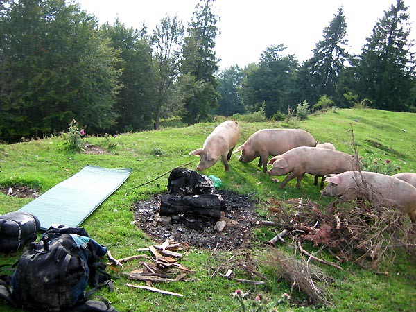 Rumunsko, Bihor, Padi a Vladeasa