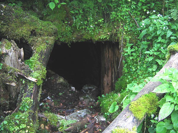 Rumunsko, Bihor, Padi a Vladeasa