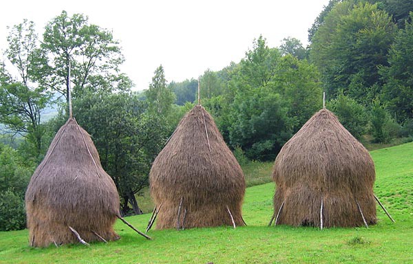 Rumunsko, Bihor, Padi a Vladeasa