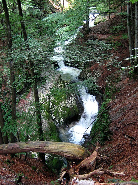 Rumunsko, Bihor, Padi a Vladeasa
