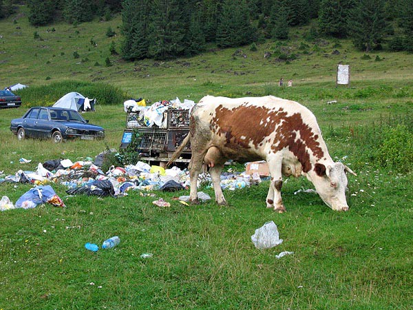 Rumunsko, Bihor, Padi a Vladeasa