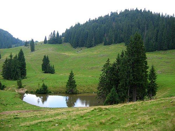 Rumunsko, Bihor, Padi a Vladeasa