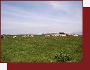 Saleve, krvy na vrku