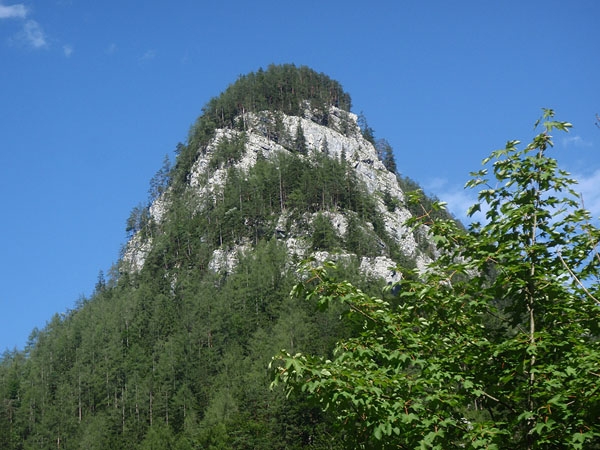 Salza