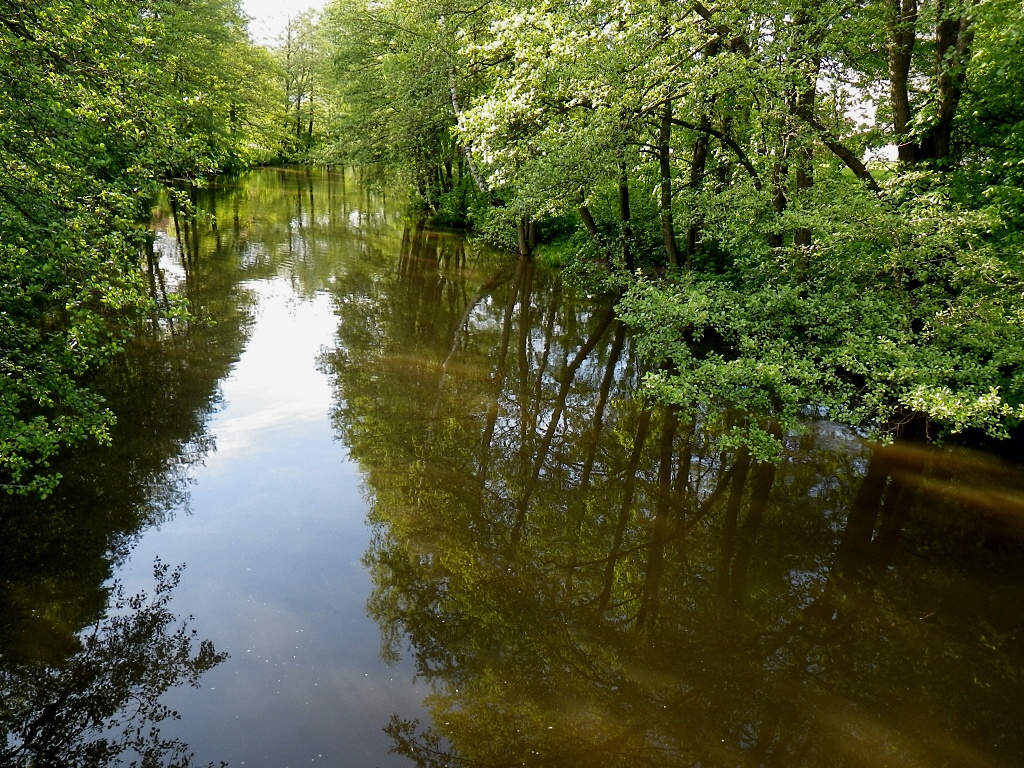 Szava 2010 - Horydoly.cz 