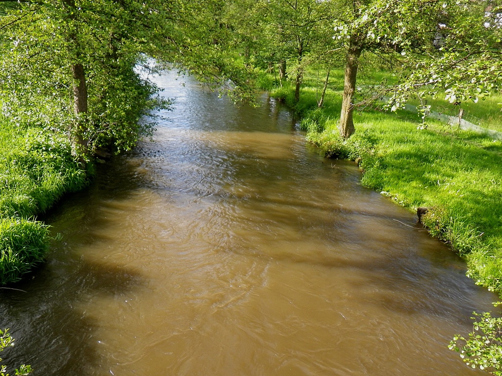 Szava 2010 - Horydoly.cz 