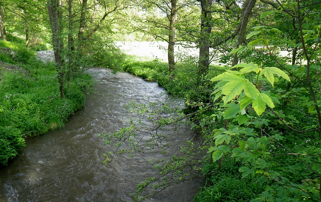 Szava 2010 - Horydoly.cz 