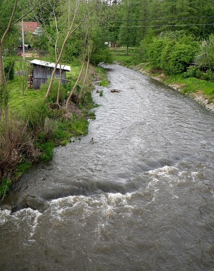 Szava 2010 - Horydoly.cz 