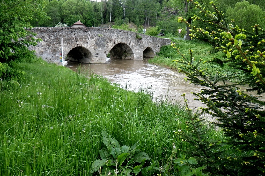 Szava 2010 - Horydoly.cz 