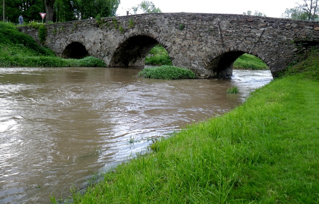 Szava 2010 - Horydoly.cz 