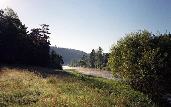 Stedn Szava - Horydoly.cz 