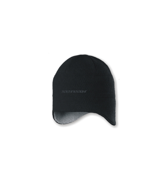 Sensor 2009
