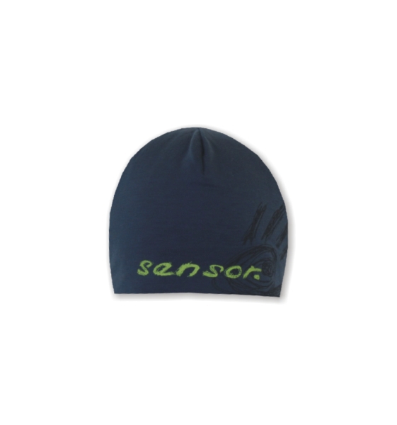 Sensor 2009