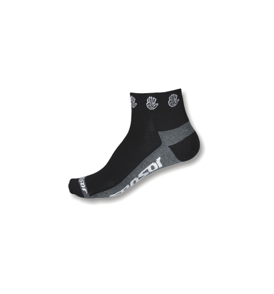 Sensor 2009