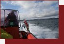 Skotsko, Skye, turistick Seafari