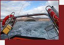 Skotsko, Skye, turistick Seafari