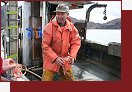 Skotsko, Skye, turistick Seafari