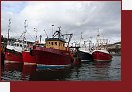 Skotsko, Skye, turistick Seafari