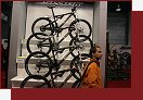 Kola na Sport Life 2007