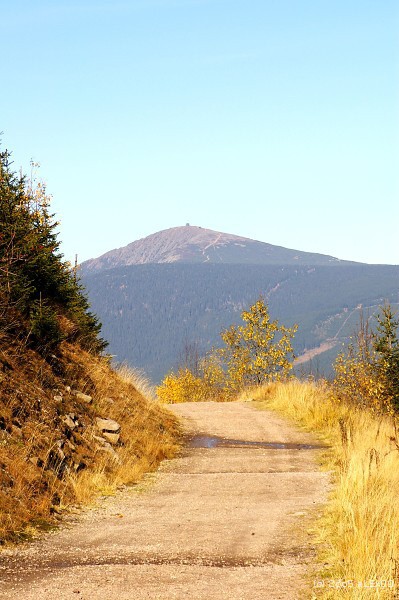 Podzimn Snka