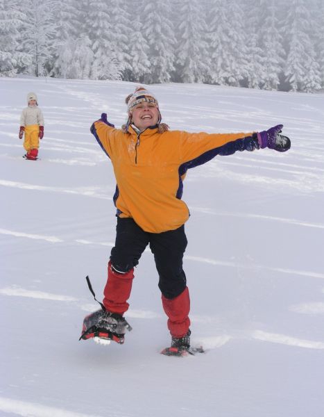 Snnice na eskm trhu 2008
