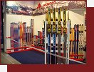 Sporten