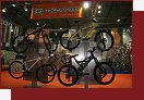 Mongoose