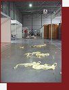 Sport Prague podzim 2005, pprava veletrnch stnk