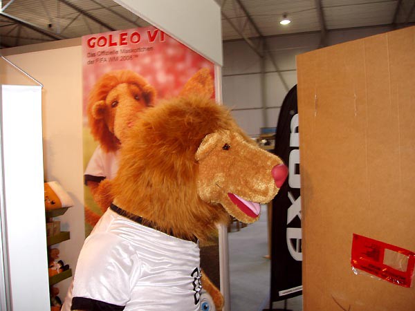 Sport Prague podzim 2005, posledn ppravy