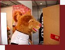 Sport Prague podzim 2005, posledn ppravy veletrhu
