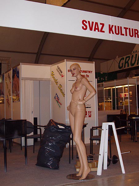 Sport Prague 2005, pprava expozic